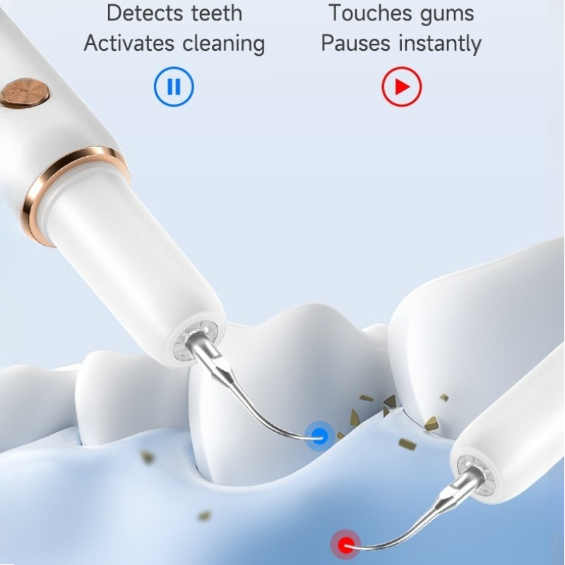 Electric Dog Toothbrushes Low  - đánh giá và giá Teeth Whitening Toothbrush