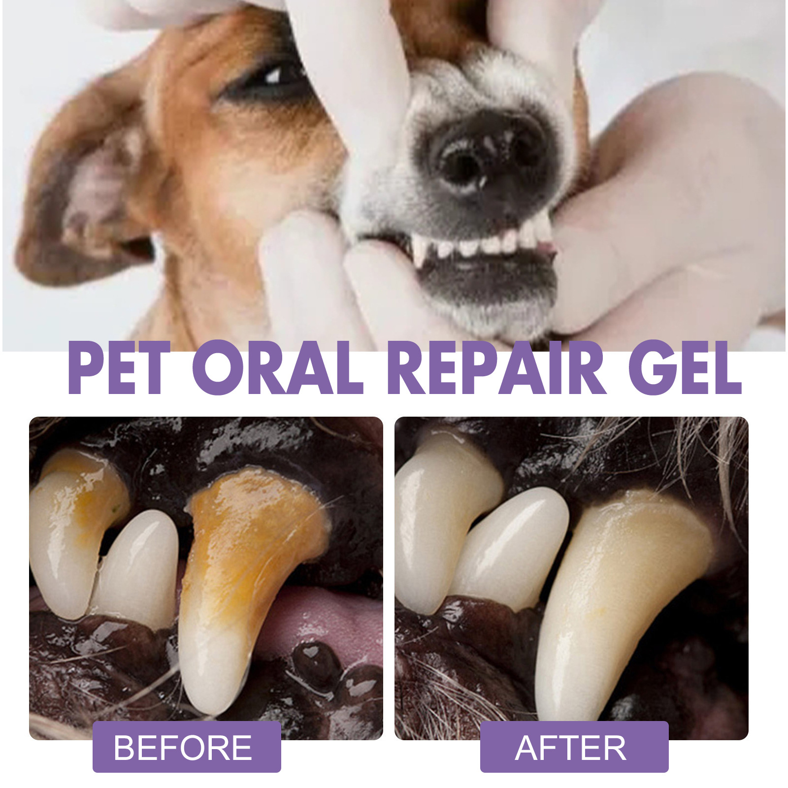 Pet Oral Repair Gel Puppy Tart - đánh giá và giá Teeth Whitening Ai