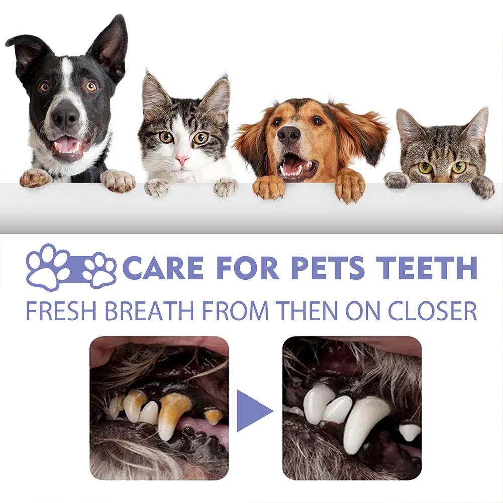 Pet Oral Cleaning Spray Mouth  - đánh giá và giá Whitening Mouthwash